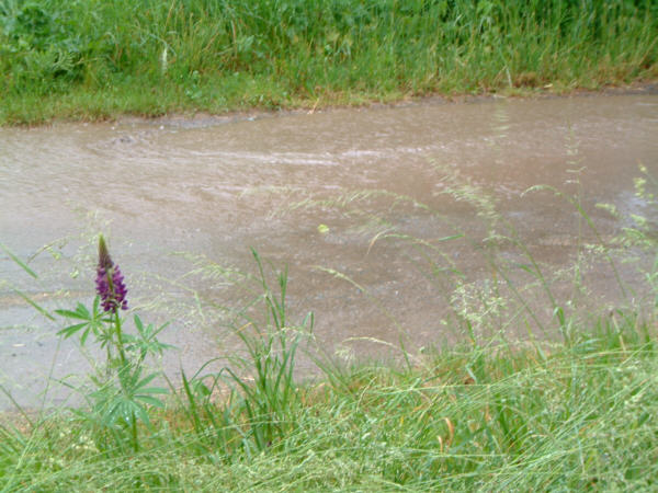 Die Straße durch Wendtshof